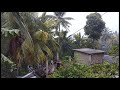 Rain beautiful😍in Gampola In my Home Area🌧️☔ #rain #natural #water #viral #coolclimate