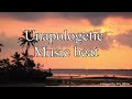 Unapologetic beat #beats #musicbeats #backgroundbeats