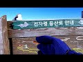 🌲[선자령]모든것이 완벽했던 12km 힐링 숲길! 올 겨울이 가기전에 꼭 다녀오세요^^ 초보자코스/2월 여행지추천/눈꽃산행/상고대/겨울여행/korea