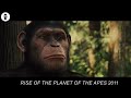Man Is Unaware That The Ape He Adopts Is A Genius & Will Rule The World