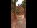 Bryce Canyon National Park. Navajo Loop Trail