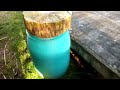 Permaculture video : DSCF3548