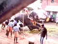 Elephant attack 2013🐘 പഴഞ്ഞി പെരുന്നാൾ ഊട്ടോളി അനന്തൻ ഇടഞ്ഞ ഫുൾ വീഡിയോ
