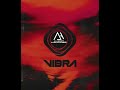 VIBRA 💊 - DJ Albert Hammer ( TechHouse 2023 ) Audio