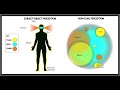 Dualism vs Non-Dualism Explained - with visuals