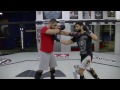 Muay Thai Frame Defense - Firas Zahabi