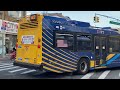 MTA Bus & NYCT || Bus Action at Jamaica Avenue & 163rd Street /w Rerouted Q44+’s and Q20A/Bs