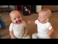 Twin baby girls fight over pacifier