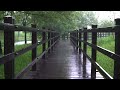 A stormy walkway, Rainsounds to help with Insomnia, White noise for Fast Sleep, Relaxation