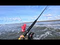 Non-Stop Action Surf Perch Fishing