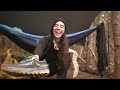 I Went HAMMOCK CAMPING on the Appalachian Trail! | Miranda in the Wild