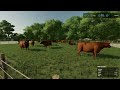 FS22 Tutorial: Getting rich with Beef Cattle