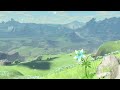 Flowery Spring Video Game Music 🌼🌸