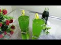 Mint Lemon Squash Recipe| لیموں اور پودینے کا شربت | Summer Drink | Ramzan Special
