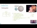 Cosmology [IB Physics SL/HL]