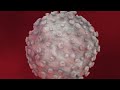 Human Immune System - How it works! (Animation)