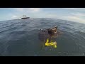 Diving off Riviera Beach