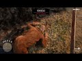 Killing Everyone in Armadillo - Red Dead Redemption 2