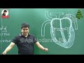 හදවතේ❤️ විස්තරේ| Dinesh muthugala sir | dinesh muthugala | biology class | science education / heart