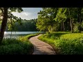 【作業用BGM】Bossa Nova Jazz BGM -Nature Walks/Chill