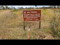 Myakka River State Park in Florida, Prairie Area, January 11th 2024