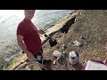 Rare Catch @ Surfside Jetty! plus Fat Trout & Oh yeah Twisters!  (Freeport, TX June24') West of Galv