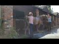 Bathing my horse. (video from 3 years ago).