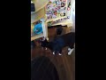 2 and a half minutes of me playing with my cats