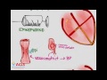 PALS Medications Part One by ACLS Certification Institute