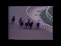 Alysheba Career Highlights