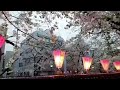 Cherry Blossom in Meguro River Japan/ Day @ Night View/ATEBEBS Tv