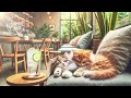 Healing Piano Jazz Work BGM Cafe Healing Relaxing Bossa Nova Healing music chill【Relaxing Cat Chord】