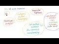 Acute Leukemia - ALL and AML - Hematology and Oncology Series
