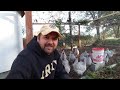 Grubterra Chicken Supplements Review | Lavender Orpingtons