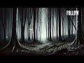 Forest Echoes - Dark Trap Beat 🌲 | Free Type Beat 2024 | Hard Trap Instrumental 🎧 | by Z.R.Y_PROD