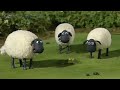 1 HOUR Compilation | Episodes 21-30 | Shaun the Sheep S1