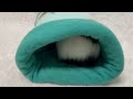 How to Sew a Fleece Guinea Pig Tunnel!