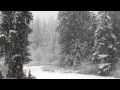 Fast Falling Snow 1080p Hd Without Music - 4 hours