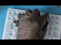 #137. Resin Art That WILL Blow Your Mind! LABRADORITE Effects. A Tutorial by Daniel Cooper