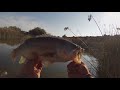 GOOGLE MAPS FISHING CHALLENGE exploring ventura county backwoods for untouched HIDDEN POND