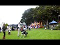Concert at Waitangi Day gathering at Otaki Maori Racecourse (DSCF4081)
