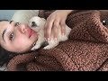 15 day old Pomeranian boy loves sleeping on my face and neck 🥹🥰😍🐶
