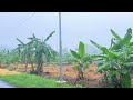 Heavy rain with wind and thunder||three hours of rain video||for insomnia