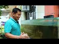 How to Produce 10,000 Native Catfish & Tilapia Fish Every Week -The Importance of Proper Fish Sizing