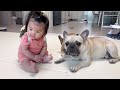 My Dogs and Baby's Morning Routine In Our New Home