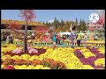 Beautiful flower garden with Disco remix