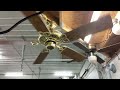 Fixed! Regency Marquis ceiling fan. 5 blades.