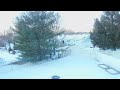 Timelapse of backyard 1/20/24-1/31/24