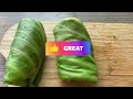 Easy Stuffed Cabbage Rolls Recipe! Quick & Delicious!