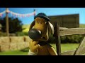 Shaun the Sheep 🐑 COCONUT - Cartoons for Kids 🐑 Full Episodes Compilation [1 hour]